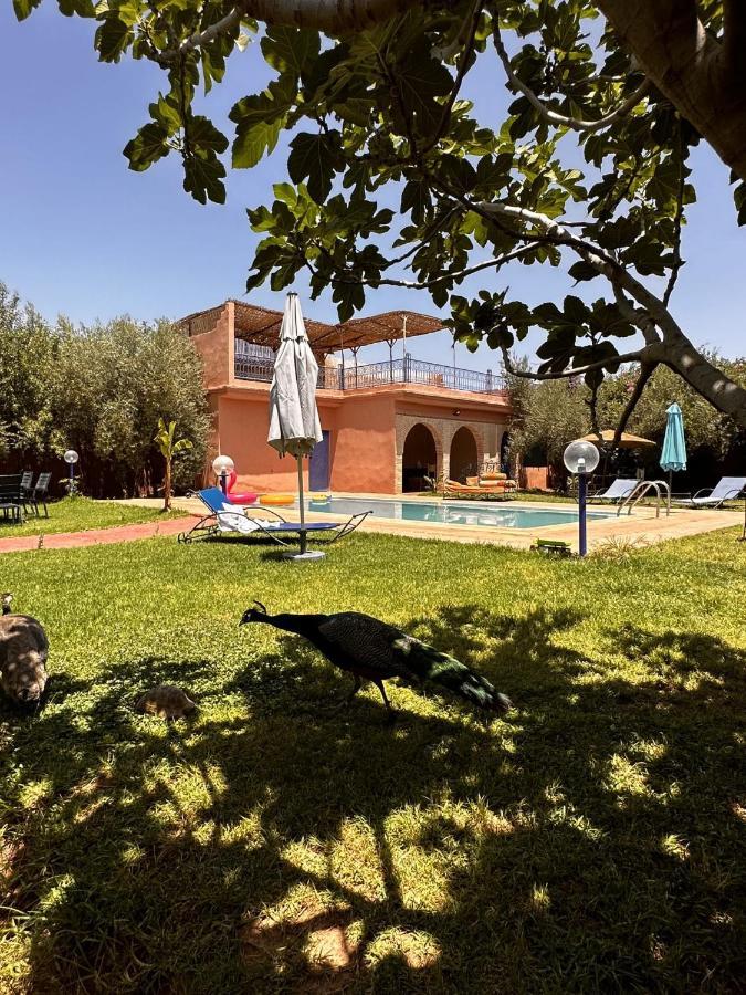 Villa Ms Holidays Mika Privatisee Marrakech Marrakesh Extérieur photo