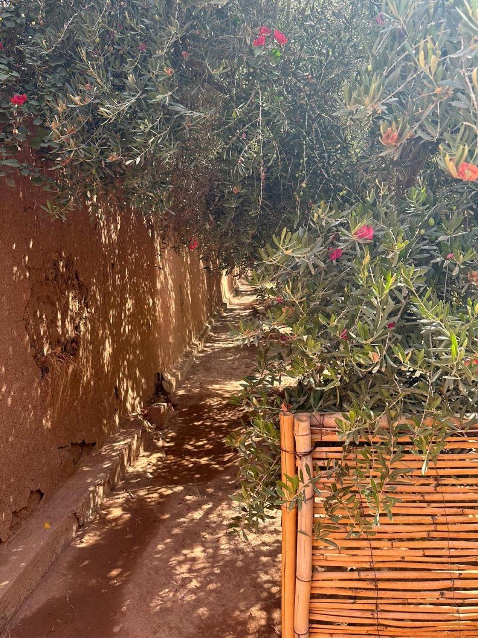 Villa Ms Holidays Mika Privatisee Marrakech Marrakesh Extérieur photo
