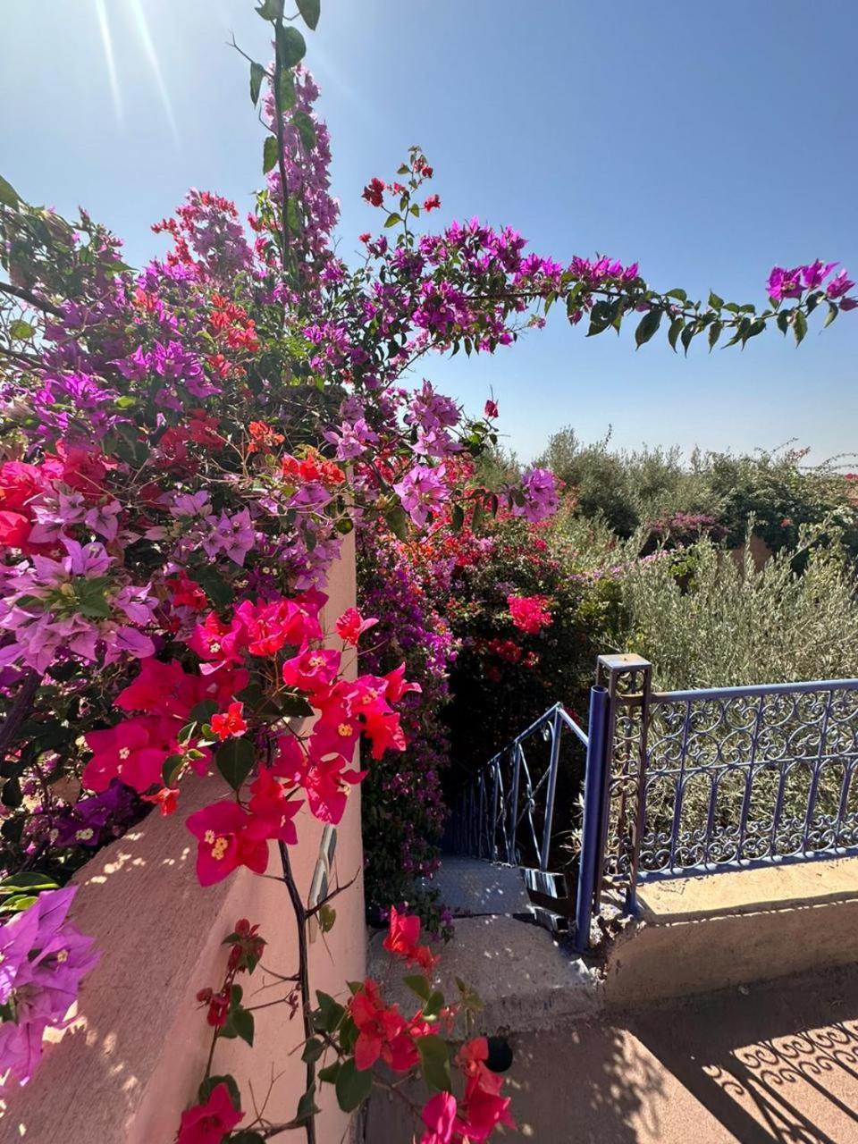 Villa Ms Holidays Mika Privatisee Marrakech Marrakesh Extérieur photo