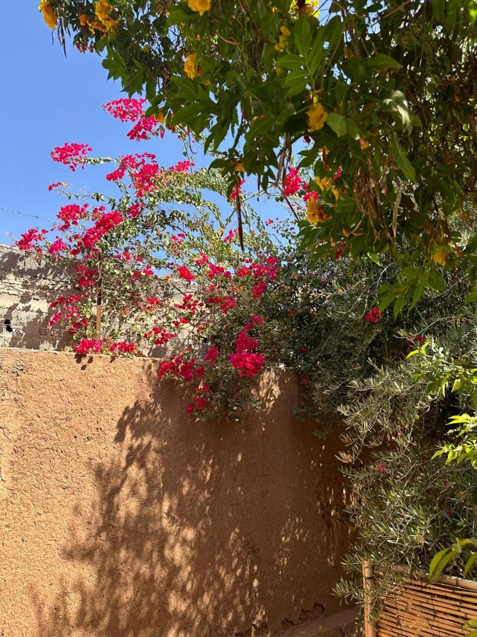 Villa Ms Holidays Mika Privatisee Marrakech Marrakesh Extérieur photo